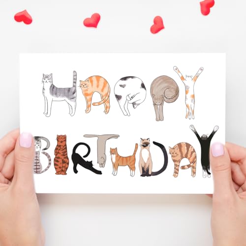Bhiosng Happy Birthday Card for Cat Lover, Funny Cats Birthday Cards for Men Women, Cute Cat Owner Birthday Gift From Cat, Humor Cat Birthday Gift Card For Dad Mom Brother Sister Cat Lover - Image 2