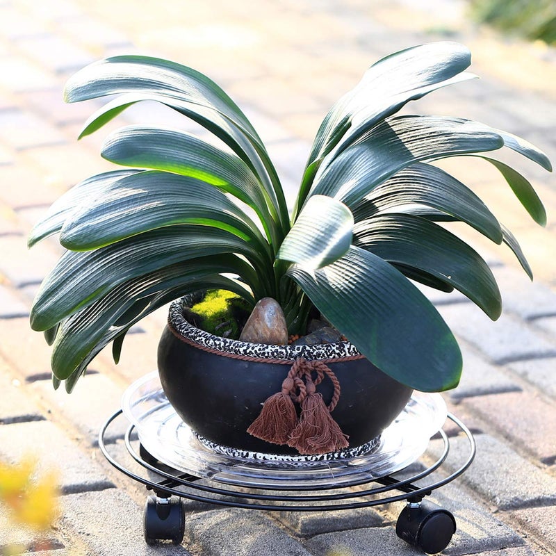 Planterhoma 6 Packs Large Metal Plant Caddy with Wheels 13" and 11.8" Heavy-duty Wrought Iron Rolling Plant Stands with Casters Plant Dolly Plant Roller Base Indoor and Outdoor Plant Pot Movers Planter Rollers - Image 4