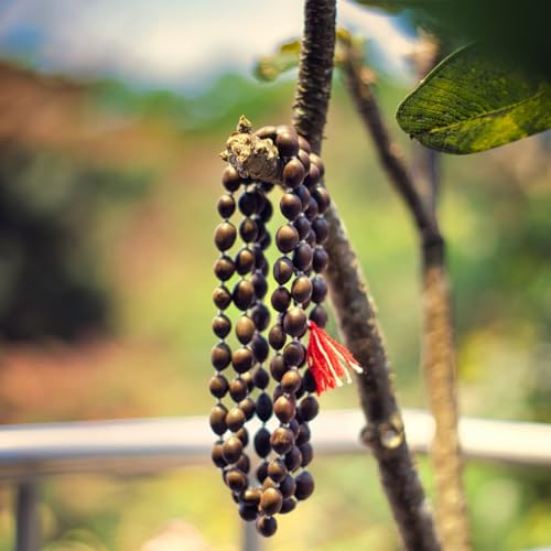 Swaha Kamal Gatta Japa Mala | Natural 108 + 1 Beads Lotus Seed Mala | Laxmi Pooja Mala | Meditation | Spritual Practises - Image 3