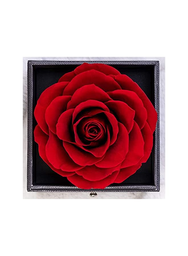 The Bros Gifts for Mom | Eternal Flower Gift with Necklace | Preserved Real Rose Presents for Mothers | Mothers Day Birthday Anniversary Valentine's Day Gifts for Mom from Daughter Son Kids - Image 4