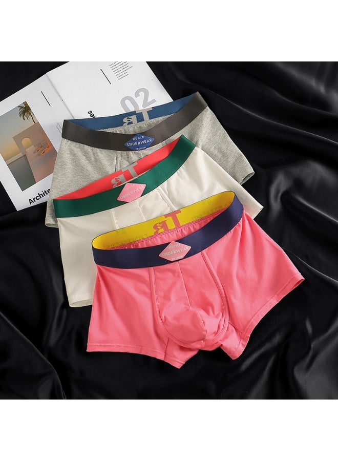 KUYING New Comfortable Skin friendly Breathable Underwear Set of 3  - Image 1
