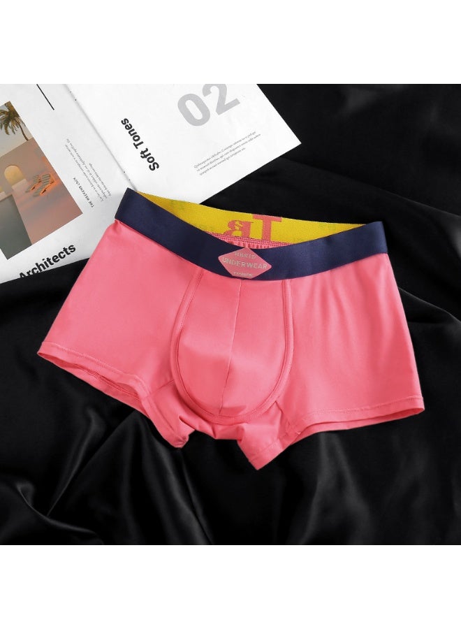 KUYING New Comfortable Skin friendly Breathable Underwear Set of 3  - Image 3