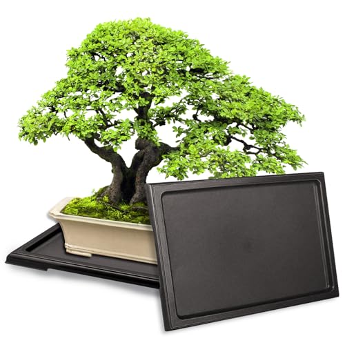 KEOHOLI 2 Packs Bonsai Humidity Plant Tray Drip Trays, Square Plastic Pot Saucer Draining Tray for Indoors Outdoors for Cactus, Succulents, Bonsai Tree, Stone to Drain, Protect, Decorate(11.4*8.4Inch) - Image 1