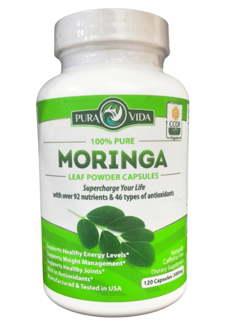 Pura Vida Moringa كبسولات المورينغا ذات الأصل الواحد مسحوق المورينغا العضوية. ورق المورينجا. الطاقة والتمثيل الغذائي ودعم المناعة. 120 قيراط. 500 ملغ قبعات.  - Image 1