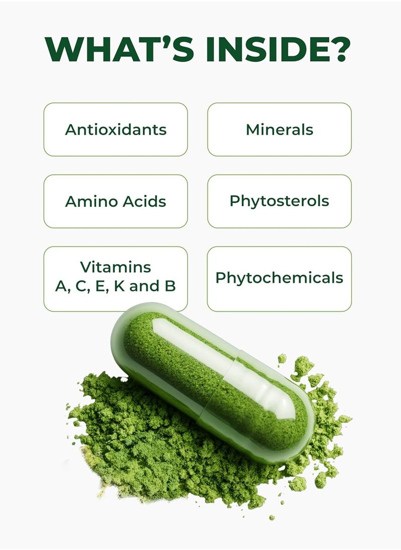 Pura Vida Moringa كبسولات المورينغا ذات الأصل الواحد مسحوق المورينغا العضوية. ورق المورينجا. الطاقة والتمثيل الغذائي ودعم المناعة. 120 قيراط. 500 ملغ قبعات.  - Image 3