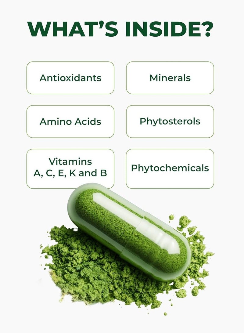 Pura Vida Moringa Moringa Leaf Powder,  120 Capsules - Image 3