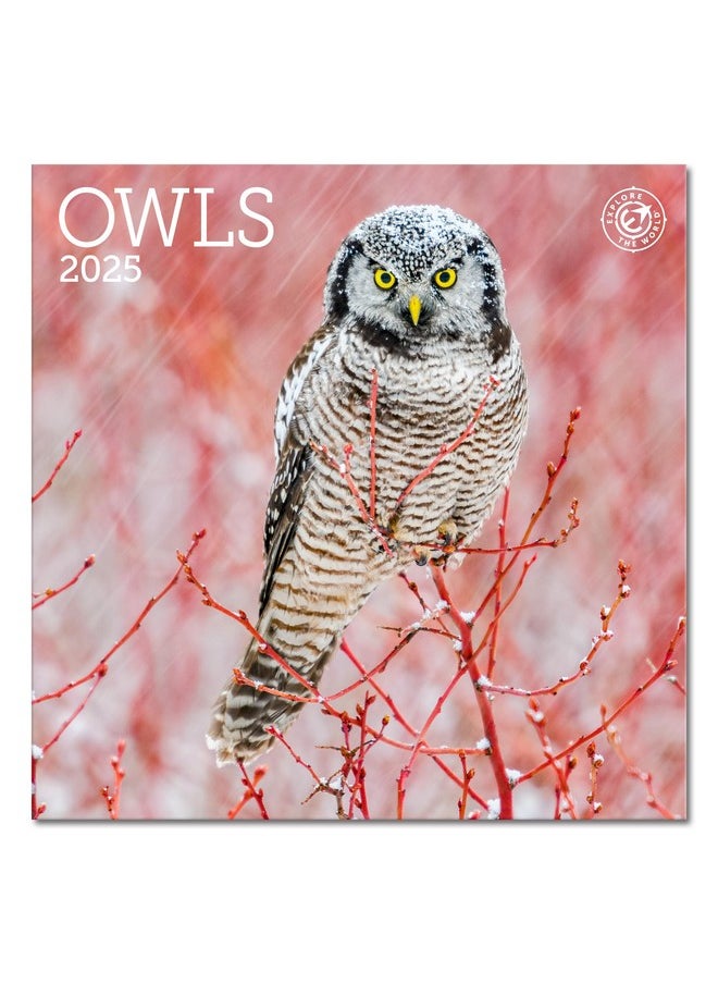 Ziga Media Owls Mini Wall Calendar 2025, 7" X 7"  - Image 1