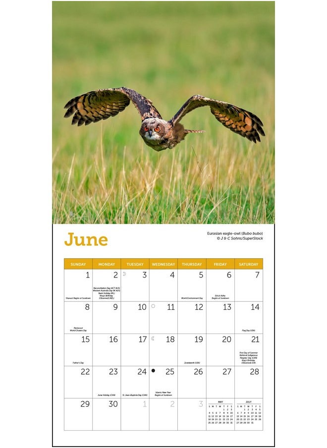 Ziga Media Owls Mini Wall Calendar 2025, 7" X 7"  - Image 2