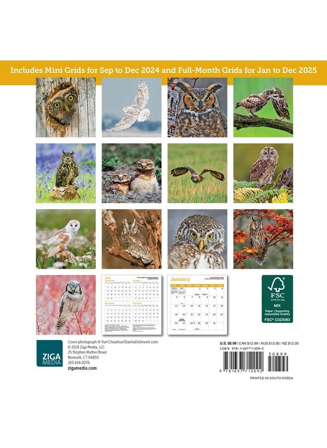 Ziga Media Owls Mini Wall Calendar 2025, 7" X 7"  - Image 4