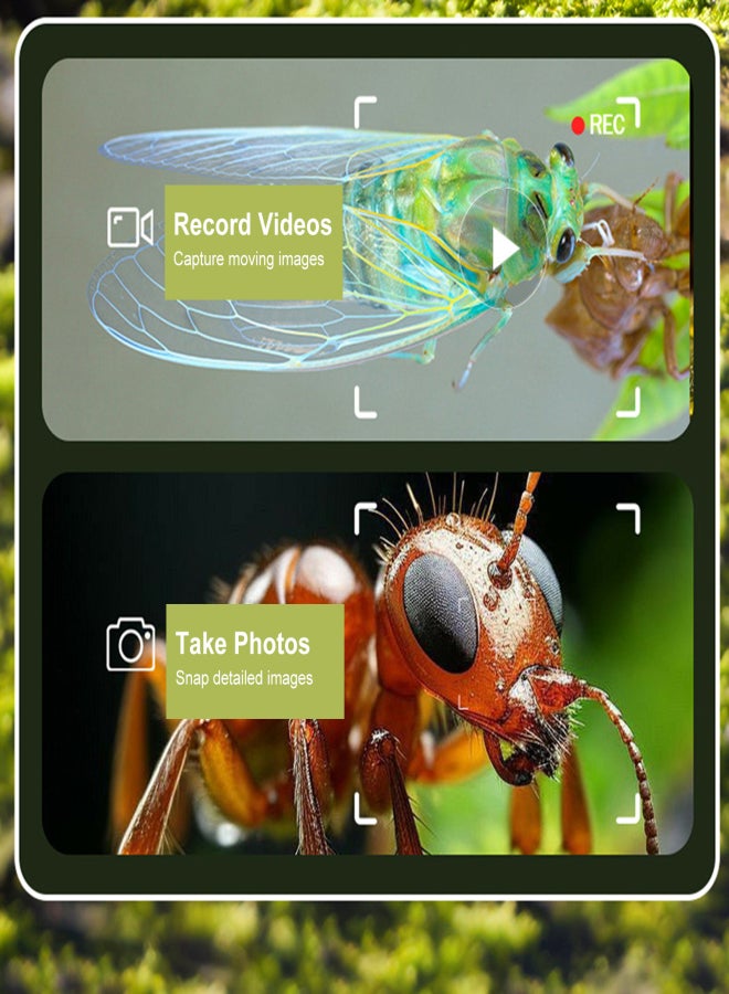 Portable Digital Microscope for Kids with 2.0" LCD Screen, 120X-1200X Magnification, HD Electronic Microscope for Outdoor Exploration, Science Education, Insect/Cell Observation, Includes 38 Cards Green+32GB TF Card+Card Reader - Image 5