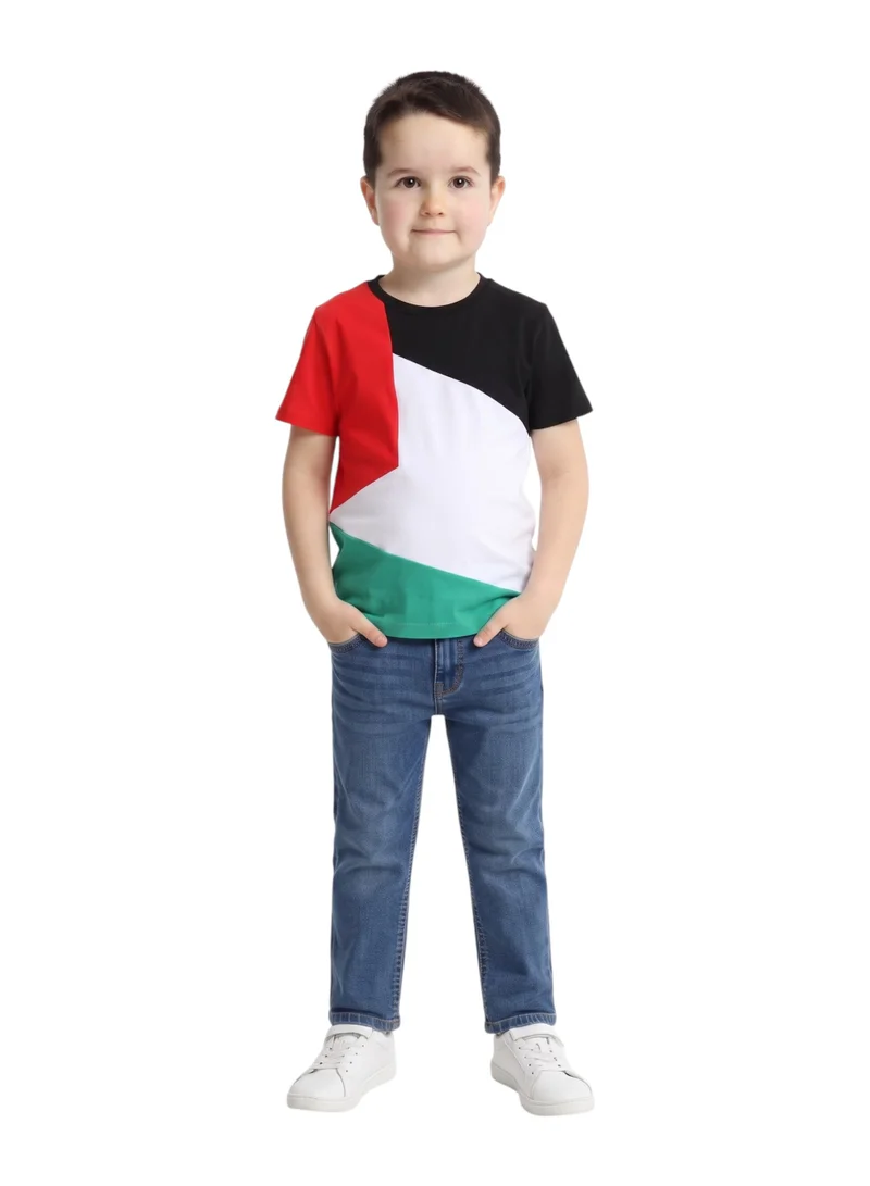 Kids Palestine Flag Color Block T-Shirt