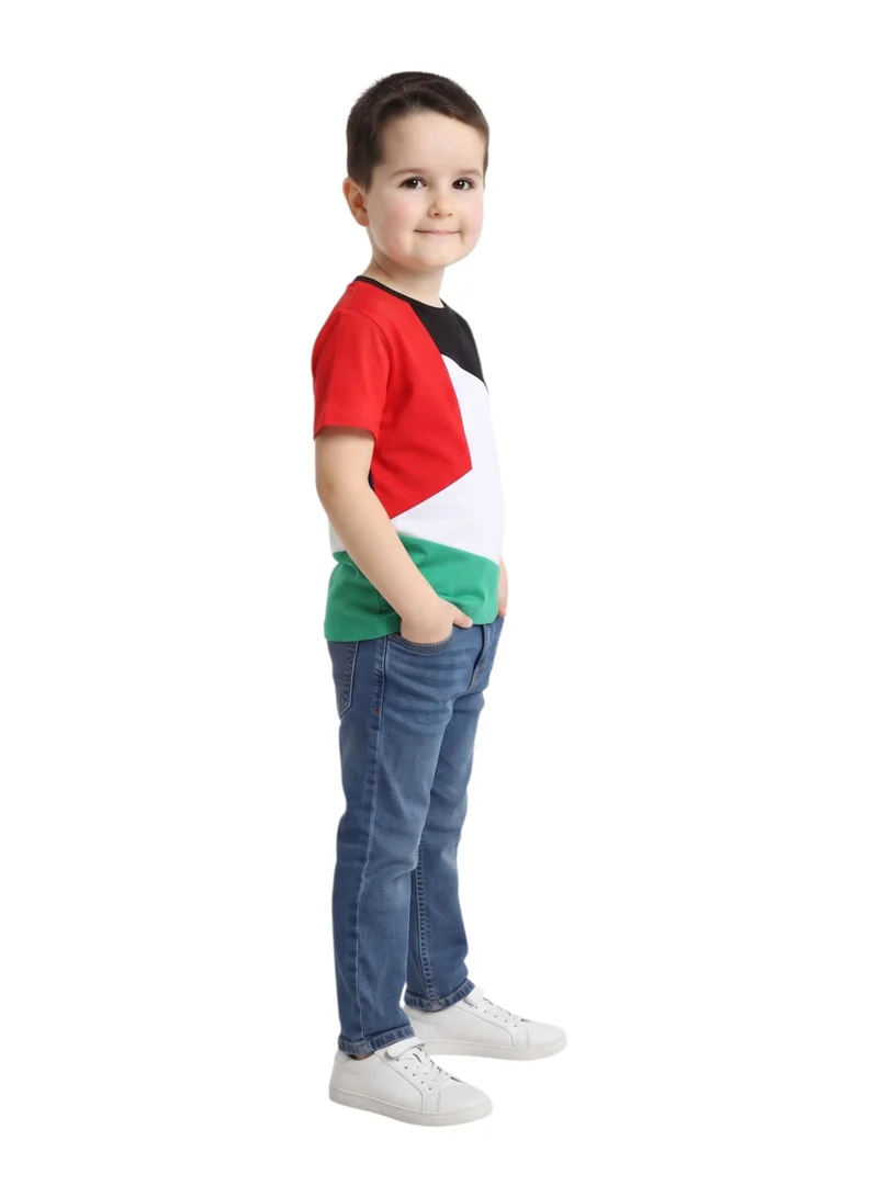 Bidani Kids Palestine Flag Color Block T-Shirt