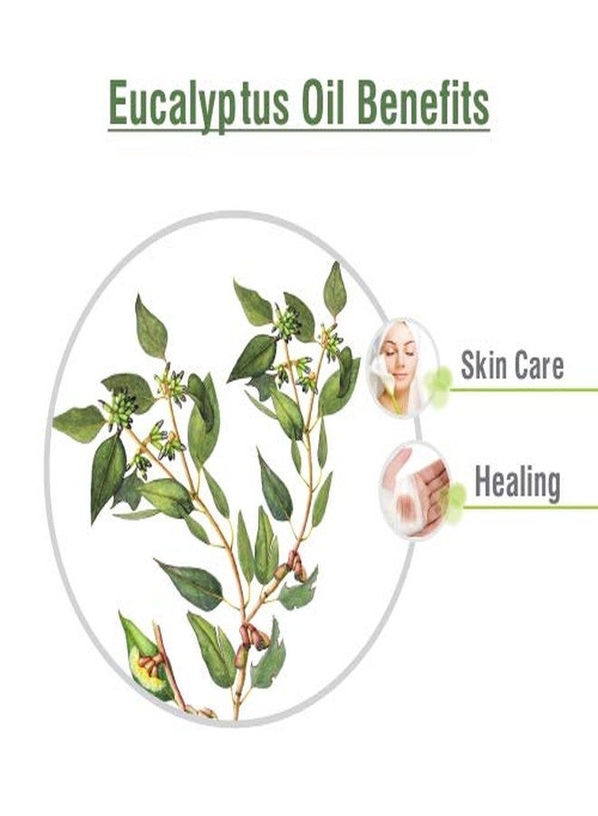Crysalis Eucalyptus Oil - Cosmetic Grade - 15 ml - Aromatic Botanical Oil for Skin Care, Hair Blends & DIY Cosmetic Formulations - Image 3