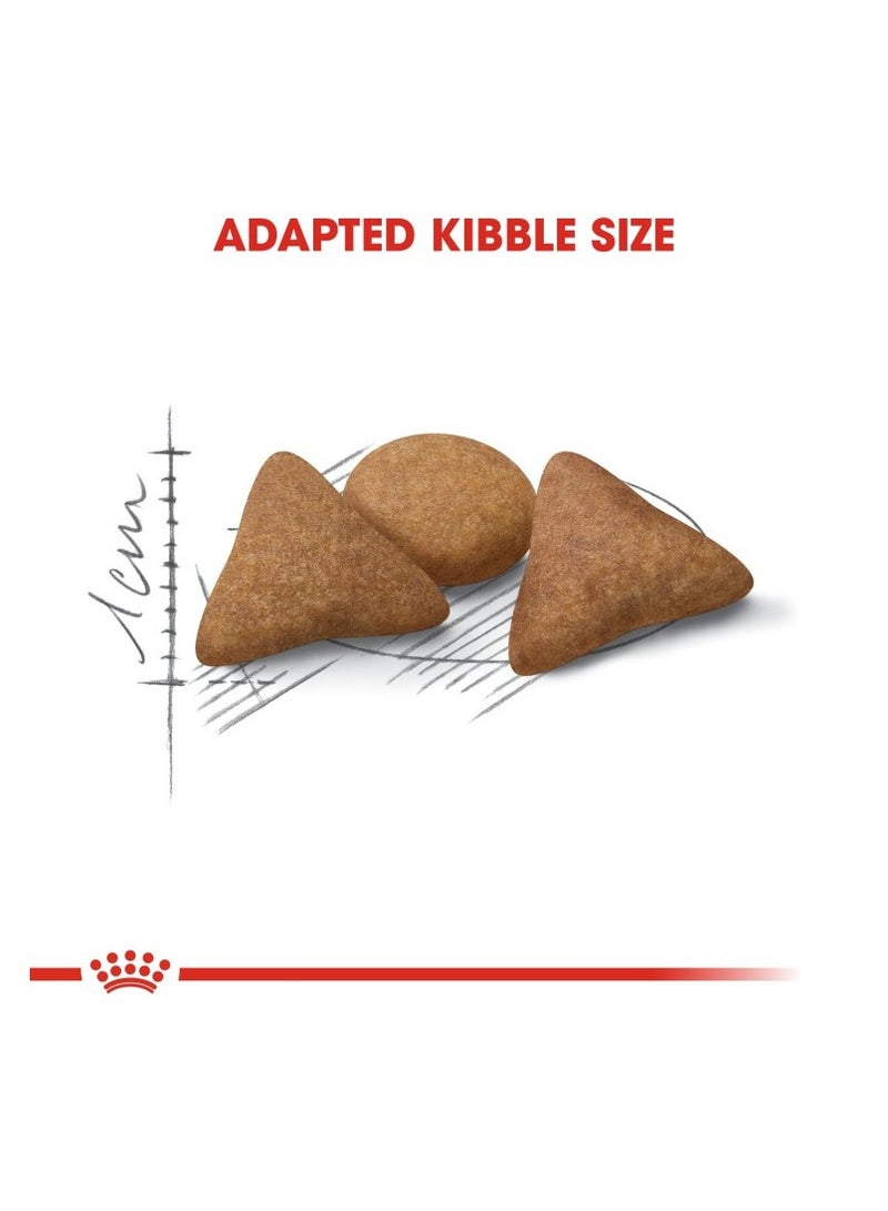 ROYAL CANIN Feline Health Nutrition Indoor Appetite Control 2 kg - Image 2