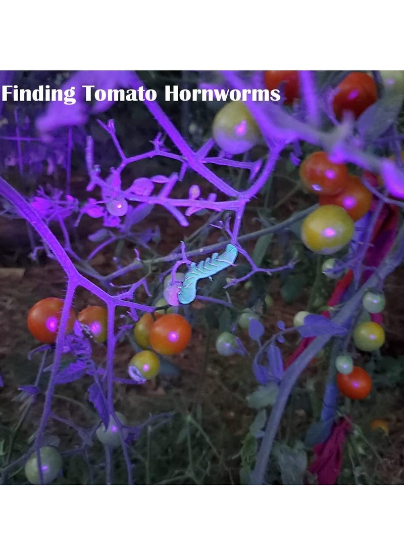 Blacklight UV Flashlight, 21 LED, 395nm, Portable Black Light for Pet Urine Detection, Scorpion, Resin Curing, Bed Bug Detection, Nail Art - Image 5