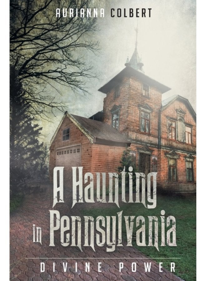 A Haunting In Pennsylvania Divine Power - Paperback