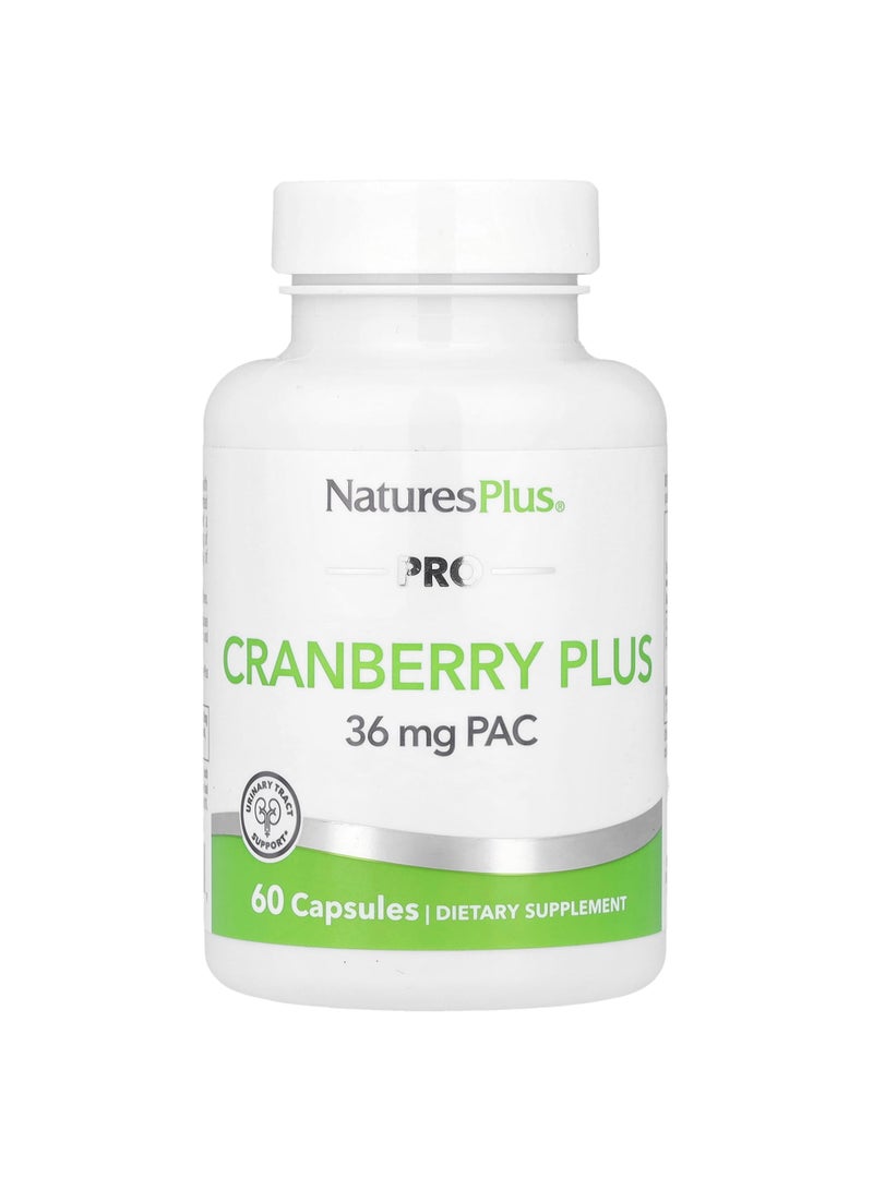 NaturesPlus PRO Cranberry Plus, 60 Capsules (350 mg per Capsule)