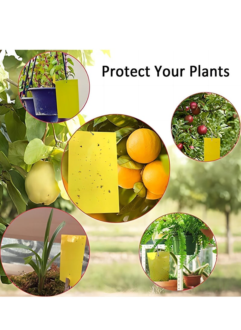 Generic - Premium 50-Piece Dual-Sided Sticky Traps with Scented Attractant and Hanging Ropes for Flying Insects - Enhanced Effectiveness and Convenience - Image 1