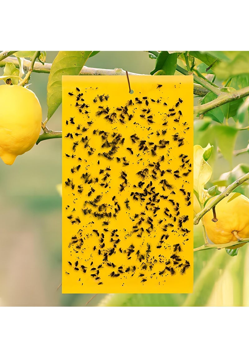 Generic - Premium 50-Piece Dual-Sided Sticky Traps with Scented Attractant and Hanging Ropes for Flying Insects - Enhanced Effectiveness and Convenience - Image 1