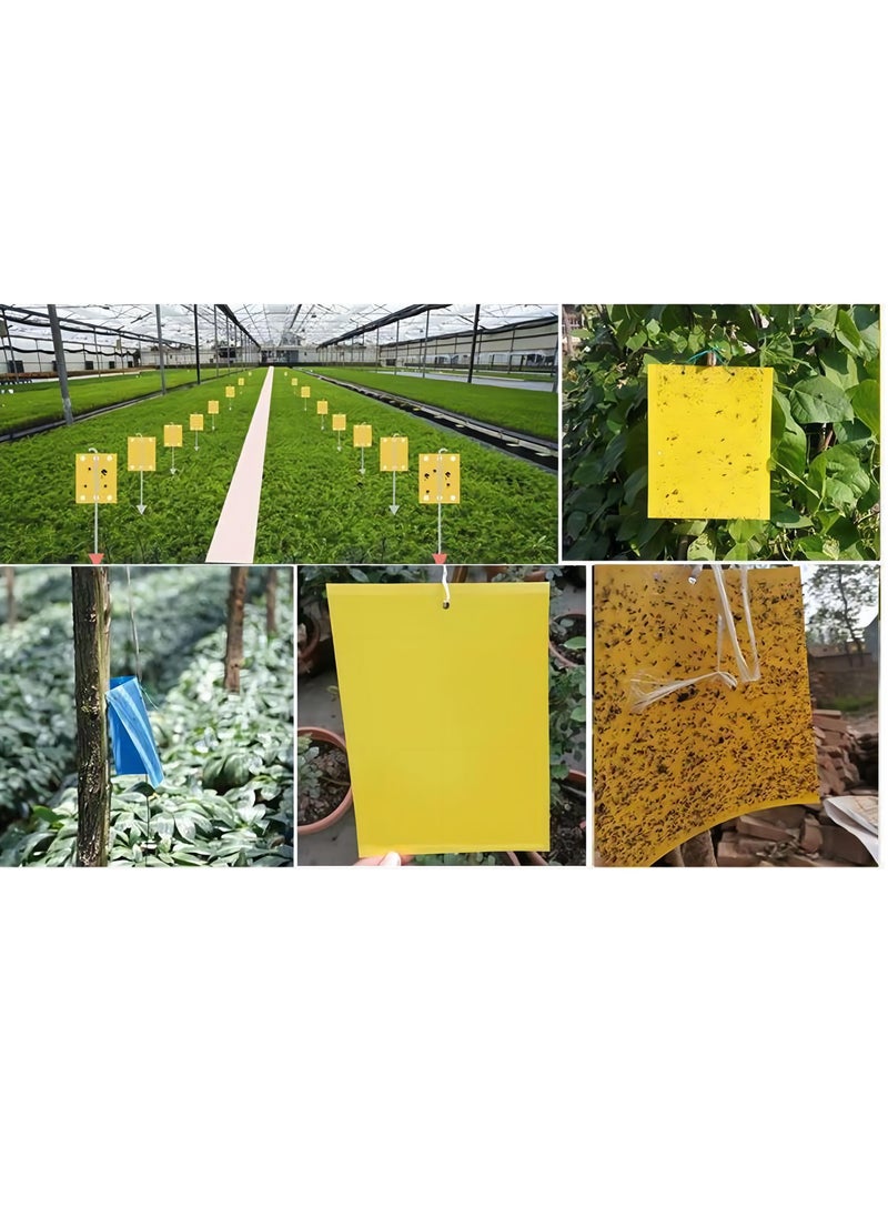 Generic - Premium 50-Piece Dual-Sided Sticky Traps with Scented Attractant and Hanging Ropes for Flying Insects - Enhanced Effectiveness and Convenience - Image 1