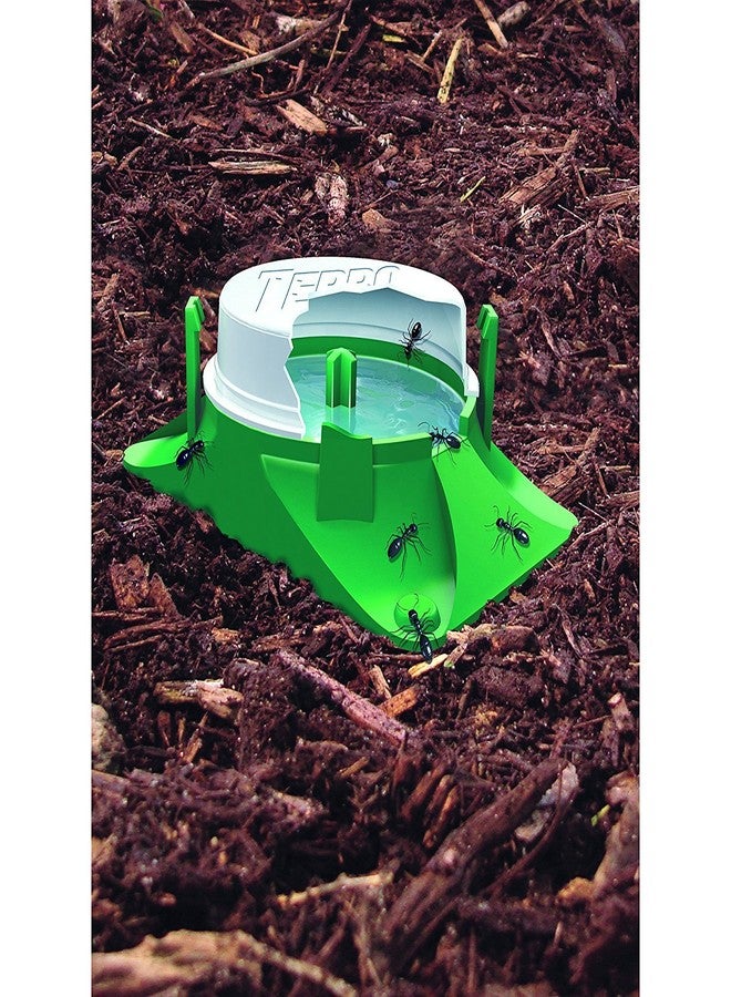 Terro 1806 Outdoor Liquid Ant Baits, 1.0 fl. oz. - 6 count - Image 2