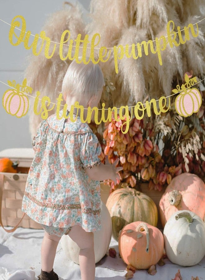MZ.ogm Our Little Pumpkin 1st Birthday Banner - Fall Baby Shower Decorations - Image 3