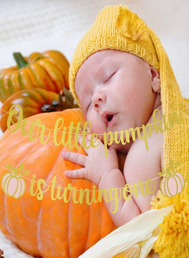 MZ.ogm Our Little Pumpkin 1st Birthday Banner - Fall Baby Shower Decorations - Image 4
