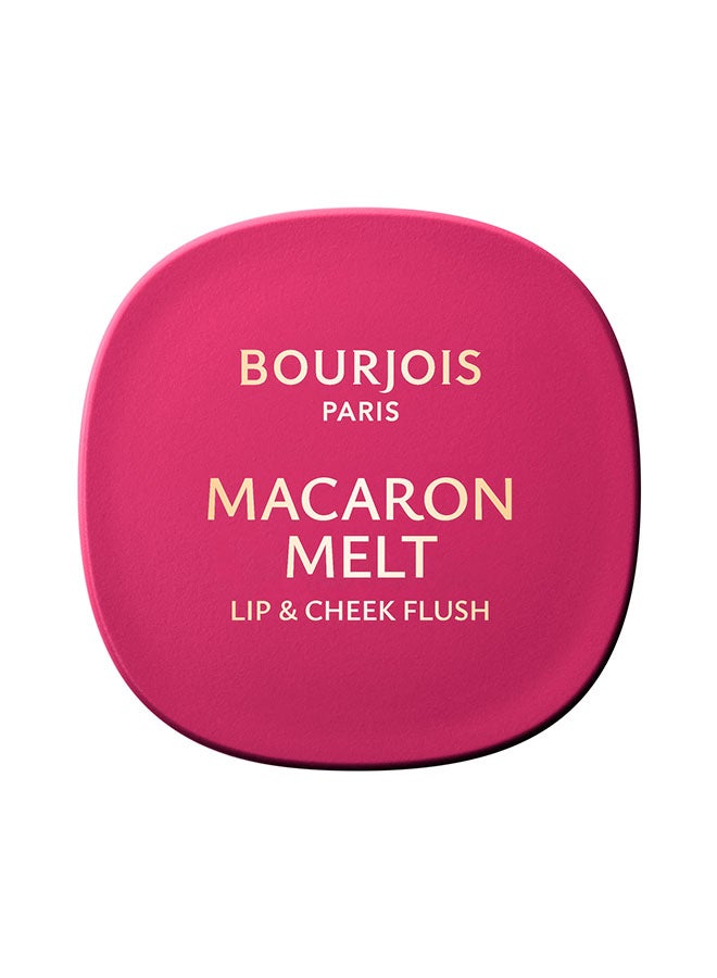 BOURJOIS PARIS ماكارون ميلت ليف وش cheek flush - 4 - جوافة وردية، 8غ - Image 2