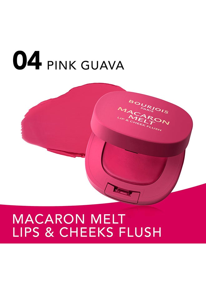 BOURJOIS PARIS ماكارون ميلت ليف وش cheek flush - 4 - جوافة وردية، 8غ - Image 3