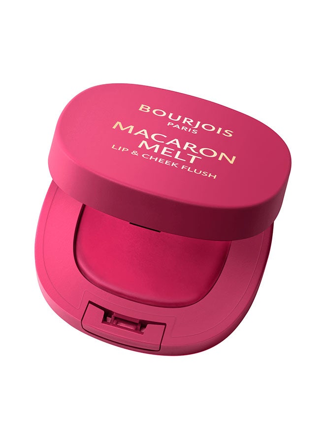 BOURJOIS PARIS ماكارون ميلت ليف وش cheek flush - 4 - جوافة وردية، 8غ - Image 1