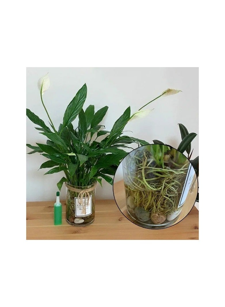 Generic 1-Bottle 38ml Hydroponic Plant Nutrient Solution Fertilizer,Bamboo Flower Fertilizer,Potted Green Concentrated Foliar Seed Fertilizer  - Image 5