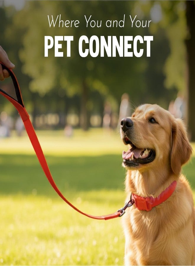 PETSWARE طوق رقبة للكلاب من النايلون من PETSWARE للكلاب المتوسطة إلى الكبيرة من جميع السلالات - مقاس قابل للتعديل، مشبك ملون وحلقة معدنية سوداء على شكل حرف D (العرض 25 مم، الطول 39 سم - 56 سم) (أحمر) - Image 5