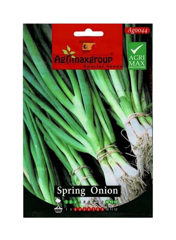 Generic Spring Onion Premium Quality Seeds by Agrimaxgroup®"Garden Care" 