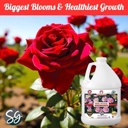 Sansar Green® Nano Potash Organic Liquid Fertilizer Essential for Overall Growth of Plants. (1000 ml) - Image 4