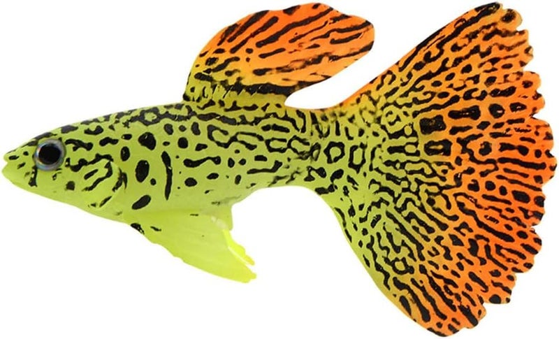 VAYINATO Petzlifeworld 2 Pcs Artificial Silicon Floating Simulating Fake Fish For Aquarium Fish Tank Decorations | Looks Like Real Fish | No Harm To Fish | No Colour Fade (Guppy Fish) - Image 3