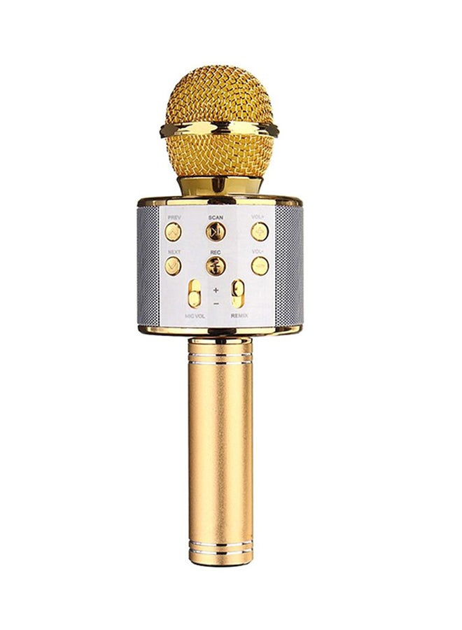 Bison Wireless Karaoke Microphone WS858 Gold/Silver - Image 1