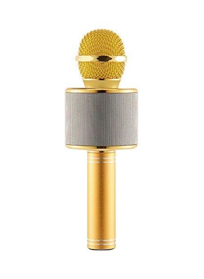 Bison Wireless Karaoke Microphone WS858 Gold/Silver - Image 2