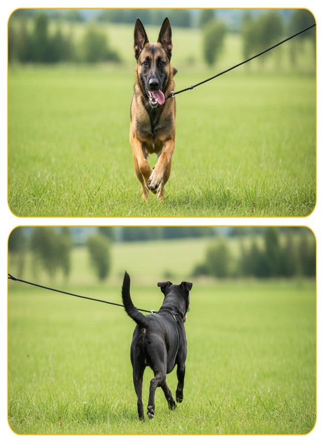 Xosjska Black Heavy Duty Slip Leads for Dogs, Comfortable Slip Lead Dog Leash No Pull Dog Training Leash Adjustable Rope Dogs Leashs Slips Lead Control Leashs for Training Walking Small to Medium - Image 2