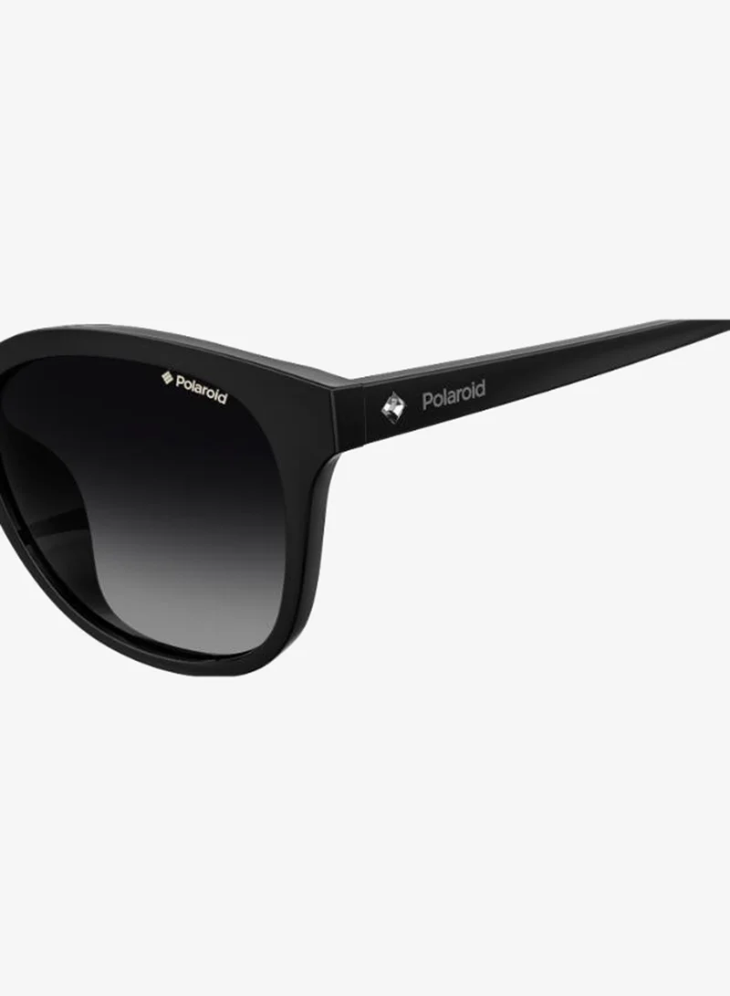 Polaroid  Cat Eye Sunglasses for Women | Best Price UAE