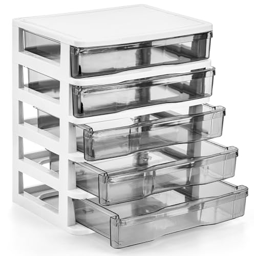 DEAYOU 5 Drawer Desktop Storage Bin Unit, Small Plastic Organizer, White Frame with Clear Drawer, Mini Container Case for Desk, Storing Craft, Accessory, Stationery - Image 1