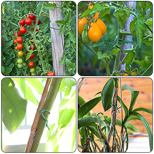 YDSL 100 Feet Soft Tie for Plants, Green Twist Garden Ties Gardening Supplies for Supporting Climbing Plants, Tomatoes, Vegetables, (Diameter - 2.5MM) - Image 2