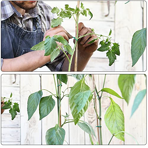 YDSL 100 Feet Soft Tie for Plants, Green Twist Garden Ties Gardening Supplies for Supporting Climbing Plants, Tomatoes, Vegetables, (Diameter - 2.5MM) - Image 4