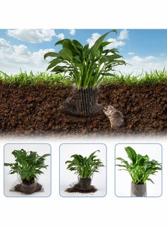 Excefore Plant Root Protection Net, Protect Plants, Trees, Flowers and Bulbs from Voles,Gophers and Moles – A One Time Solution, No Repellent Needed 6 – Pack  - Image 3