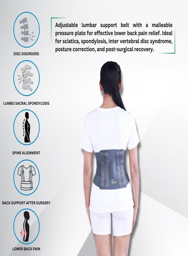 METRO Orthotics Grey Contoured L.S. Lumbar Support Immobilization Posture Correction Back Pain Relief Lumbar Support Waist Belt, Pain Relief Dual Adjustable Straps for Men/Women Lower Back (L) - Image 3
