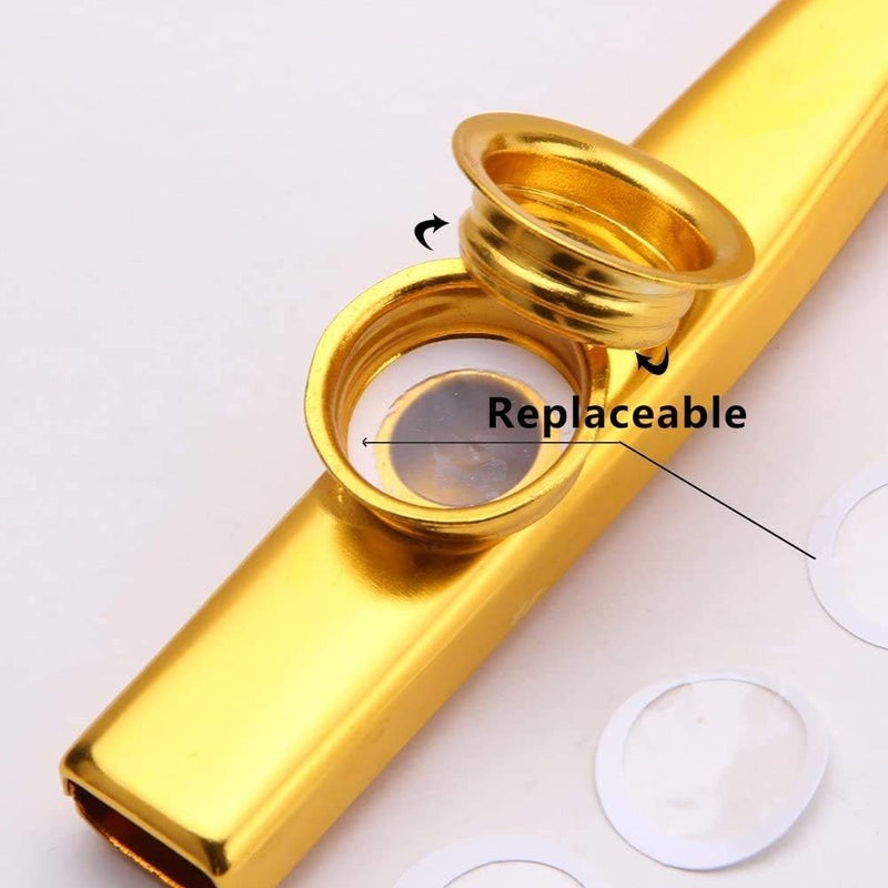 PERLMAN Aluminum Alloy Kazoo and 5 Membrane Flute Diaphragm Mouth Kazoo with Vintage Gift Box - GOLD - Image 2