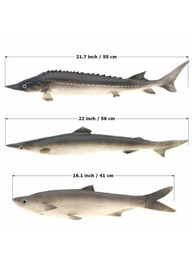 Gresorth 3 PCS Sea Creatures Fake Shark Chinese Sturgeon Fish Toy Model Photography Prop - Image 2