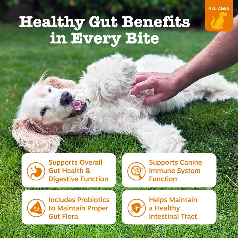 Zesty Paws Probiotics for Dogs - Digestive Enzymes for Gut Flora, Digestive Health, Diarrhea & Bowel Support - Clinically Studied DE111 - Dog Supplement Soft Chew for Pet Immune System - Adv, 90ct - Image 2