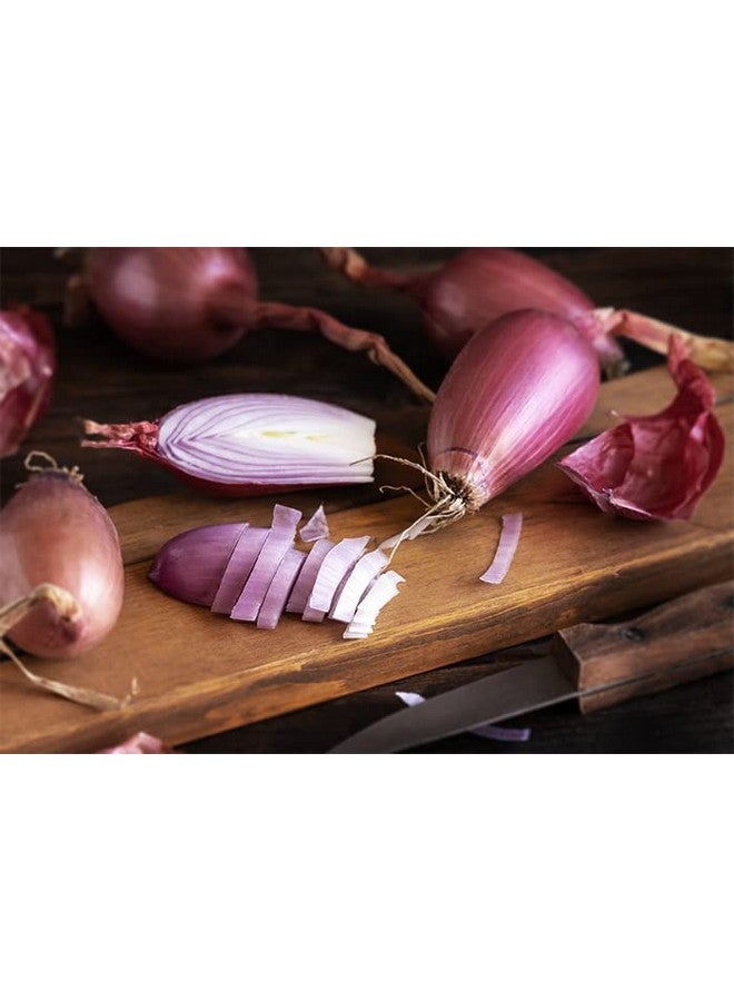 Unpretentious Freeze Dried Shallots, 0.9 oz, Flavorful, Gluten-Free - Image 4