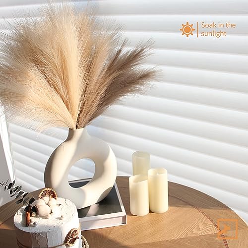 ZIFTY Faux Pampas Grass Decor 6-Pcs 17" Fluffy Artificial Pompous Grass Short Pompas Boho Decor Fake Flower Bulrush Reed Grass for Vase Filler Farmhouse Home Wedding Fall Decorations(Beige&Taupe) - Image 5
