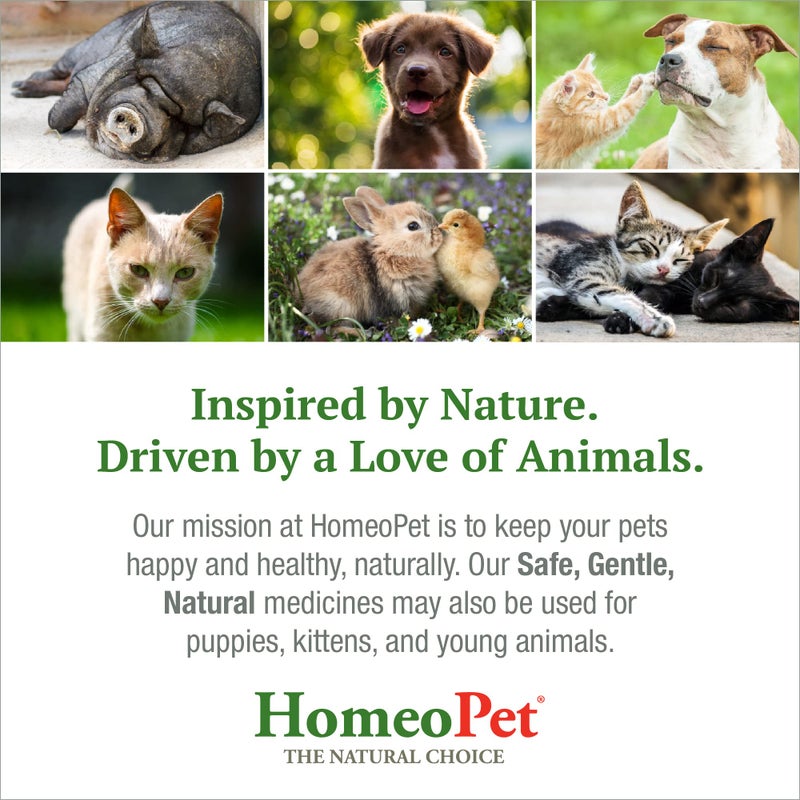 HomeoPet Cough, Gentle Natural Cough Medicine for Dogs, Cats, and Small Pets, Cat and Dog Cough Medicine, 15 Milliliters - Image 4